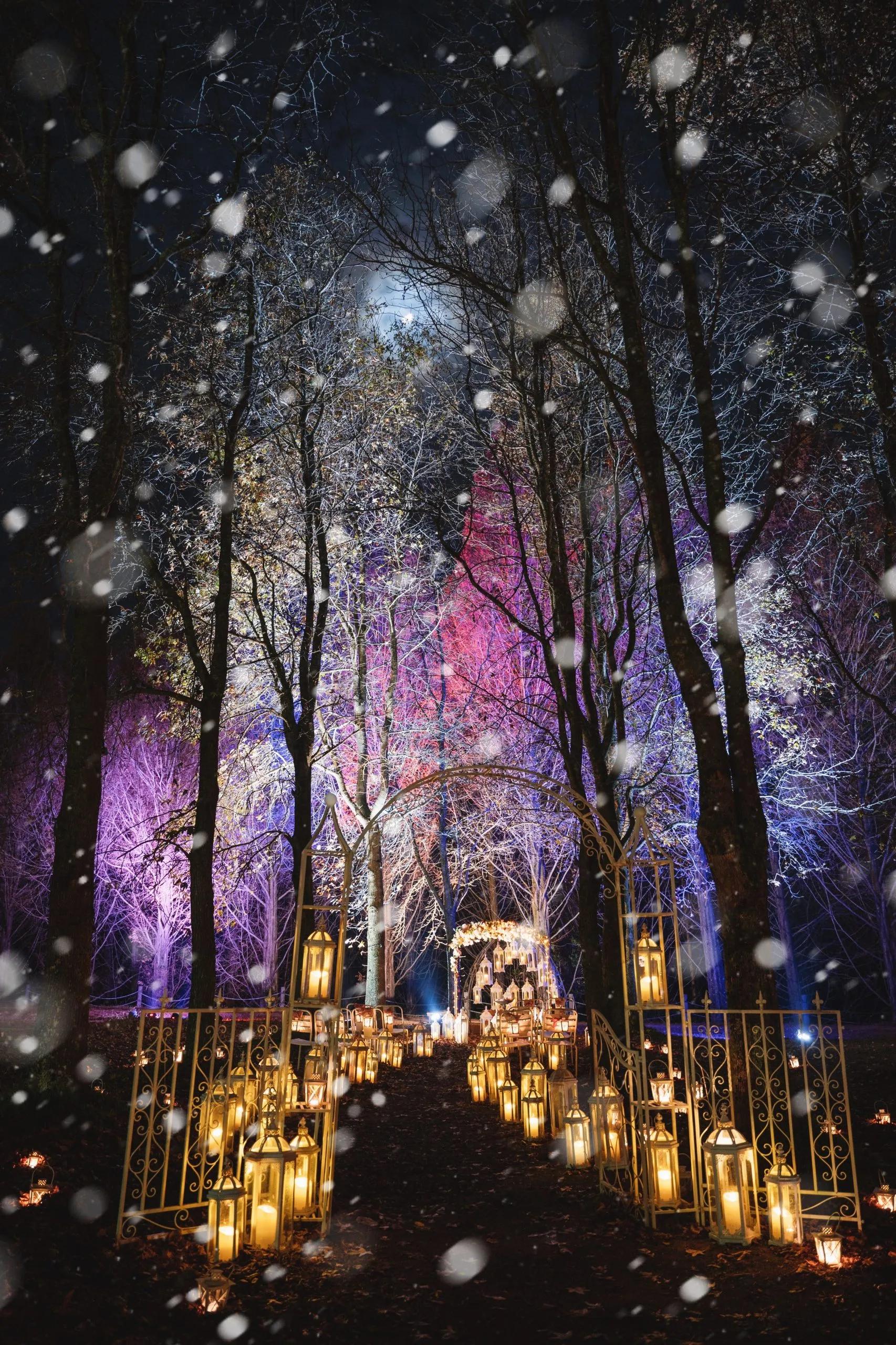 🌷 세라 고원 농장(세라코겐노조) 이미지 14